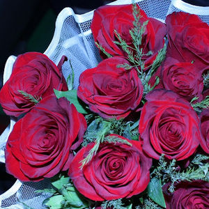 Meet your Posher, Aichupu